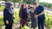 İzmir’in mahalle bostanlarında hasat vakti