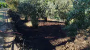 Bilecik'te zeytinlikte çıkan yangın büyümeden söndürüldü
