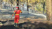 Muğla Ortaca'da orman yangını paniği