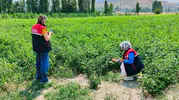 Afyon’da tarım arazilerine kaçak yapı denetimi sıkılaşıyor