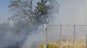 Siirt Kurtalan’da bahçe yangını ağaçları küle çevirdi