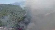 Aydın Kuyucak’ta ormanlık alanda yangın paniği