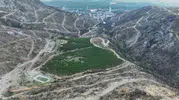 Gürsu’daki yangında küle dönmeyen bahçe bu sene meyve verdi