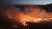 Adıyaman ormanlarında rüzgarla büyüyen yangın paniği