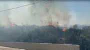 Torbalı'daki orman yangını fabrikaları tehdit ediyor