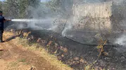 Köşk'teki zeytinlik yangını korkuttu