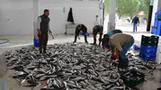 Muğla dış ticarette kazandıran şehir oldu
