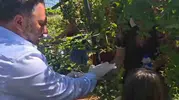 Siirtte toprakla iyileşen minik eller ve özel bireyler