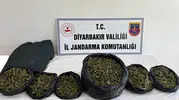 Diyarbakır jandarmasından 119 noktaya eş zamanlı narkotik operasyonu