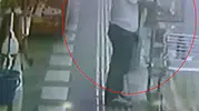 Kızıltepe'de kafes hırsızlığı Papağanı böyle çaldılar