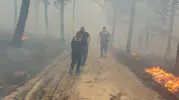 Aydın Çine’de orman yangını evleri yuttu