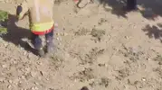 Hatay’da bahçeye giren yılan itfaiyeye ter döktürdü