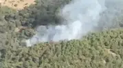 Ayvalık ormanlarında yangın paniği