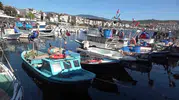 Marmara’da balıkçılar kepenk kapatma noktasına geldi