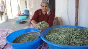Şırnak dağlarında 30 yılın ardından gelen doğal lezzet şöleni