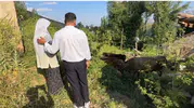 Ayni Teyzenin Tek Serveti Telef Olunca Hayırseverler Harekete Geçti