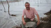 Kumluca seralarında güneşle doğal temizlik dönemi başladı