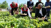 Elazığlı çiftçinin hasat mesaisine Vali Hatipoğlu da katıldı