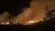 Bodrum’da gece saatlerinde otluk alanda yangın paniği