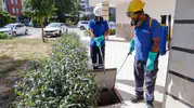 Antalya’da sivrisinek istilasına karşı 1700 kişilik dev ordu sahada