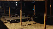Caretta carettalar Aydın sahillerini yeniden keşfetti