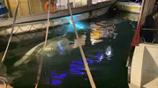 Sinop limanında bağlı tekne aniden sulara gömüldü