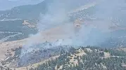 Kahramanmaraş’ta ormanlık alanda çıkan yangın korkuttu