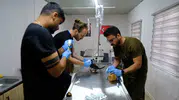 Altıeylül Belediyesi sokak hayvanlarına sıcak yuva arıyor