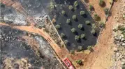 Antalya Kepez'de orman yangını paniği