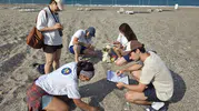 Antalya sahillerinde caretta nöbeti başladı