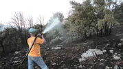 Adıyaman Besni’de orman yangını paniği