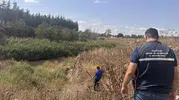 Tekirdağ’da çevre kirliliğine geçit yok