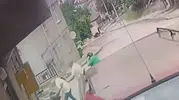 Fatsa’da aile içi silahlı saldırı Üç kişi hayatını kaybetti