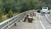 Kastamonu'da arı yüklü kamyonet kaza yaptı