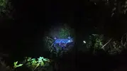 Hatay’da yayla yolunda korkunç kaza