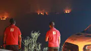 Kızılay orman yangınlarında 26 noktada gıda desteği sağlıyor
