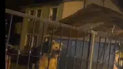 Sarıkamış’ta ev sahibi ayı oldu