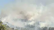 Uşak Eşme’de orman yangını paniği