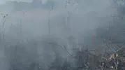 Edremit'teki zeytinlik yangını söndürüldü