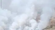 Bitlis dağlarındaki yangın arıcıları vurdu
