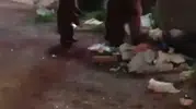 Karslı vatandaşın ayı ailesine söylediği türkü sosyal medyayı gülümsetti