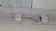 Hakkari’de akşam yemeği hazırlığı bir anda kabusa dönüştü