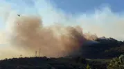 Çanakkale ormanlarına dört gün boyunca giriş yasaklandı