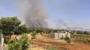 Dicle kırsalında otlar alevlere teslim oldu