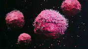 Kanserin büyümesini durduran yeni protein mekanizması keşfedildi