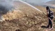 Elazığ’da rüzgarın körüklediği yangın 35 dönüm ürünü yaktı