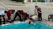 Seydikemer'de havuz faciasından dönüldü