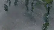 Sapanca Gölü tabanında görülen esrarengiz beyaz kütle alarm verdi