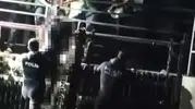 Adana’da kanalda bulunan ceset kimlik tespitinin ardından morga kaldırıldı