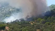 Muğla Kavaklıdere ormanlarında yangın paniği